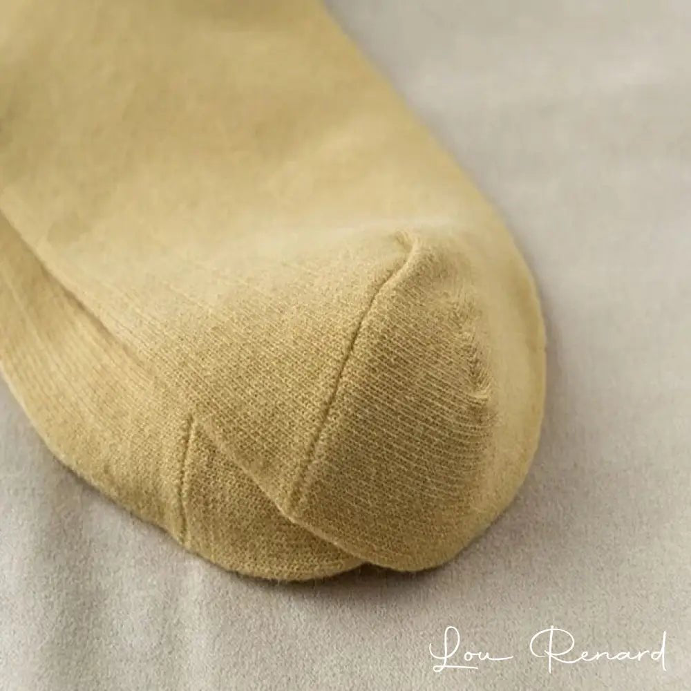 La Sportive - Lou Renard