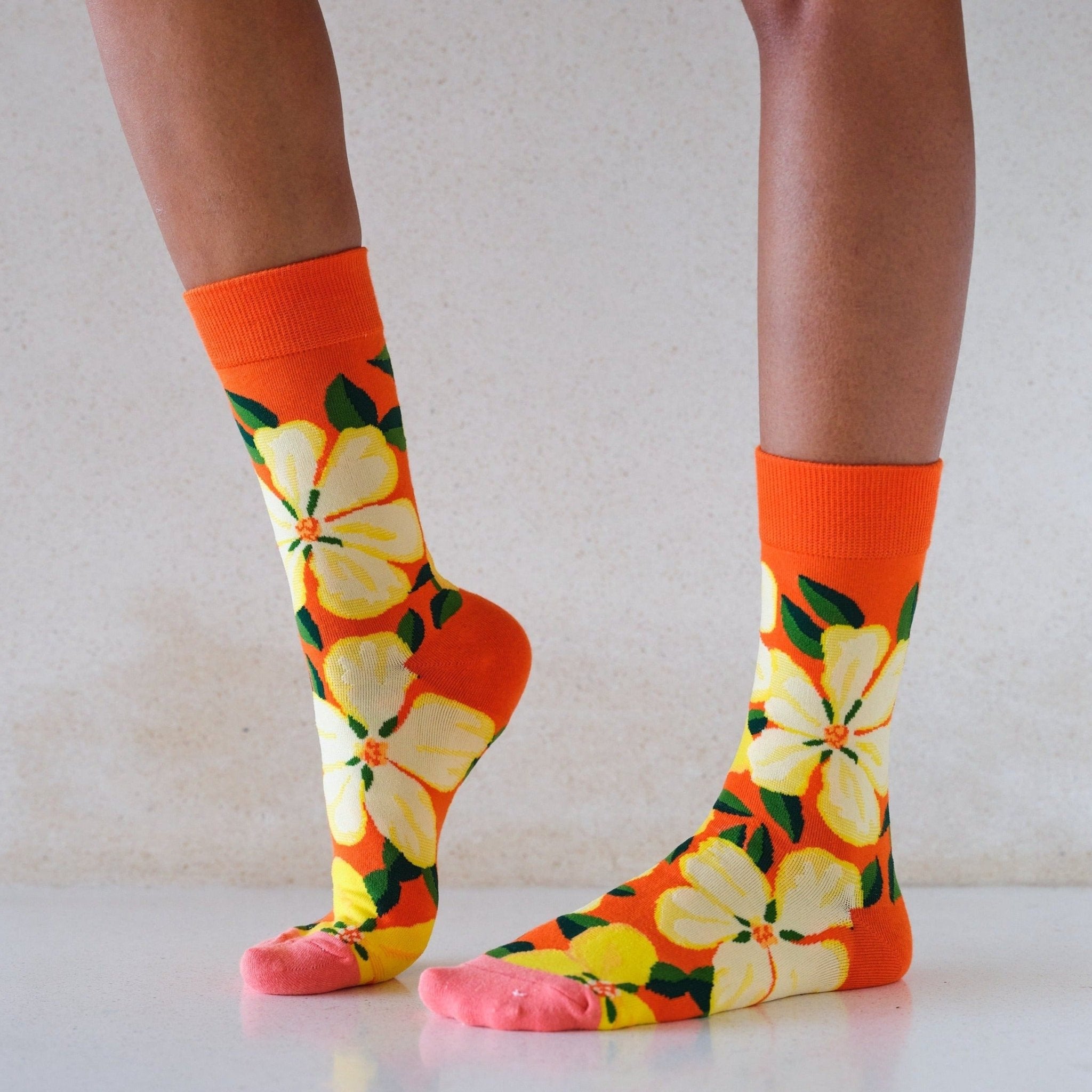 La Vagabonde - Lou Renard