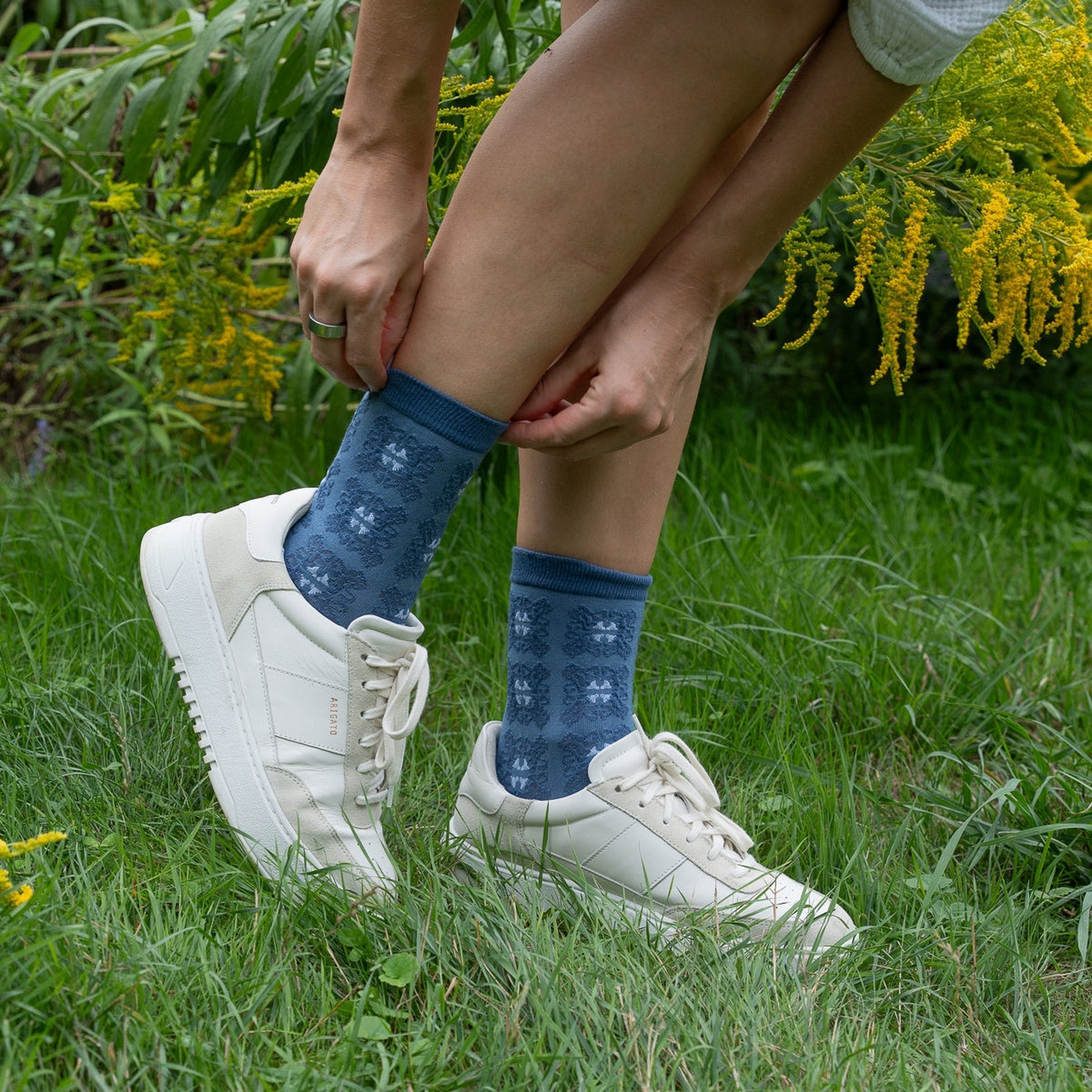 L'Hivernale - Lou Renard