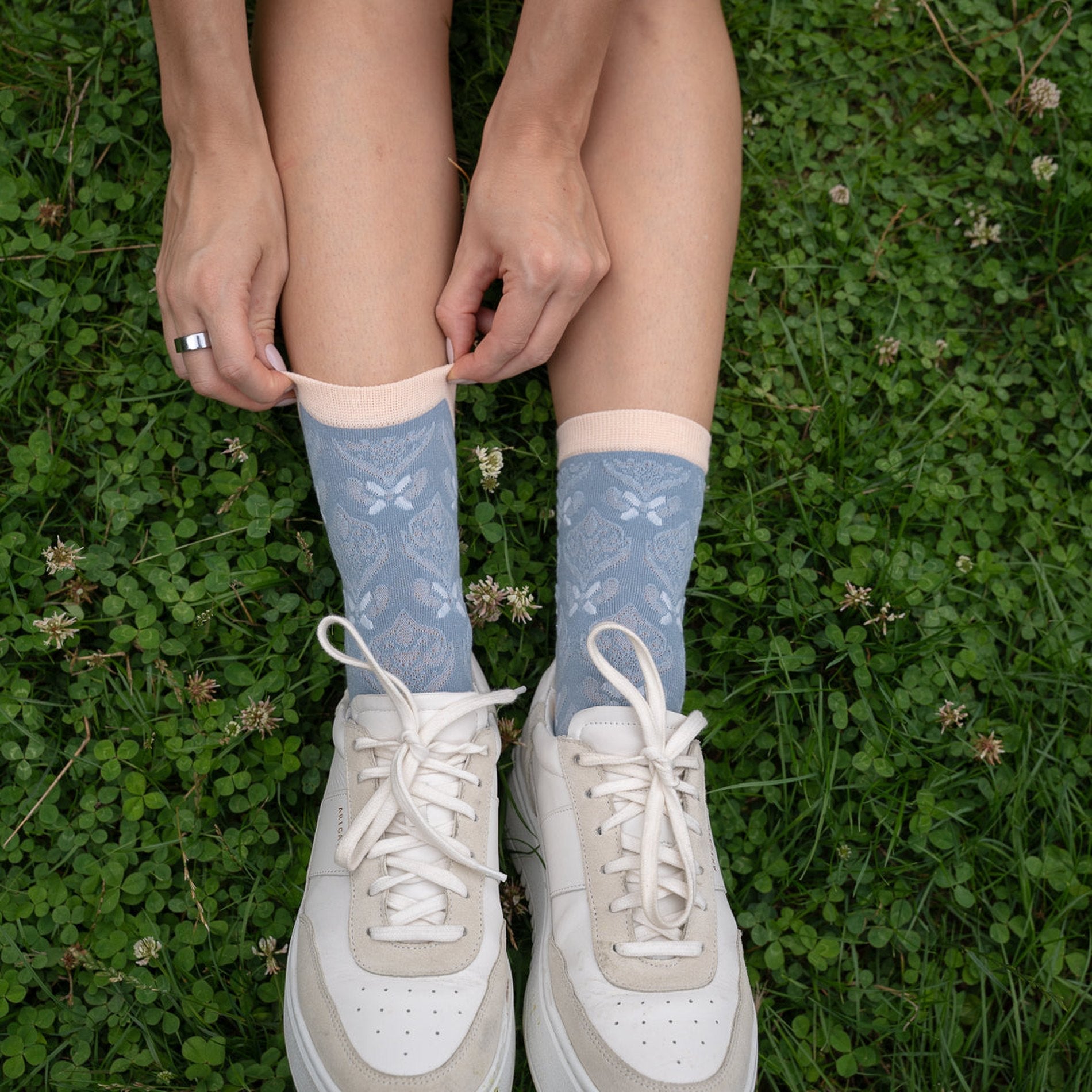 L'Hivernale - Lou Renard