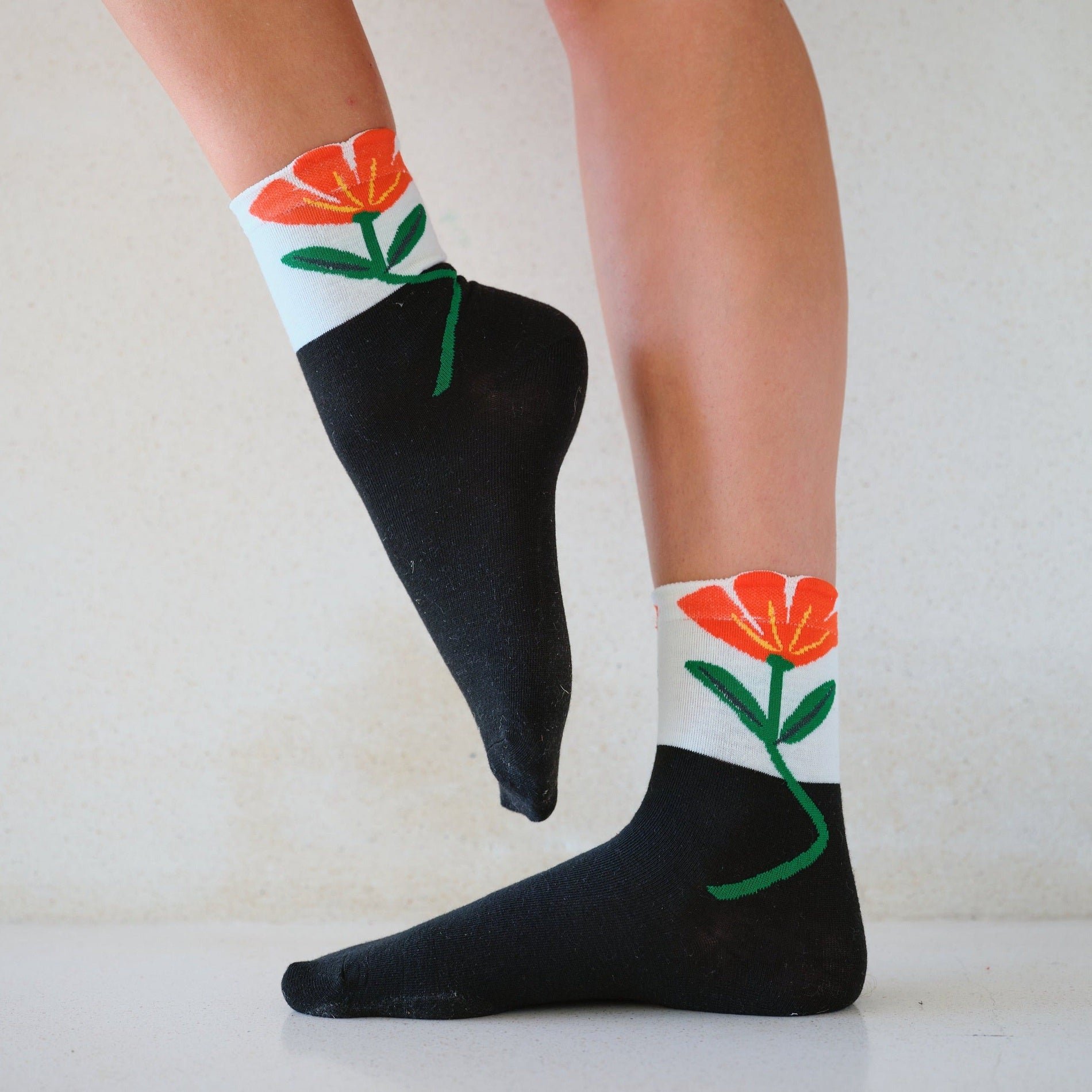 La Fleur bleue - Lou Renard