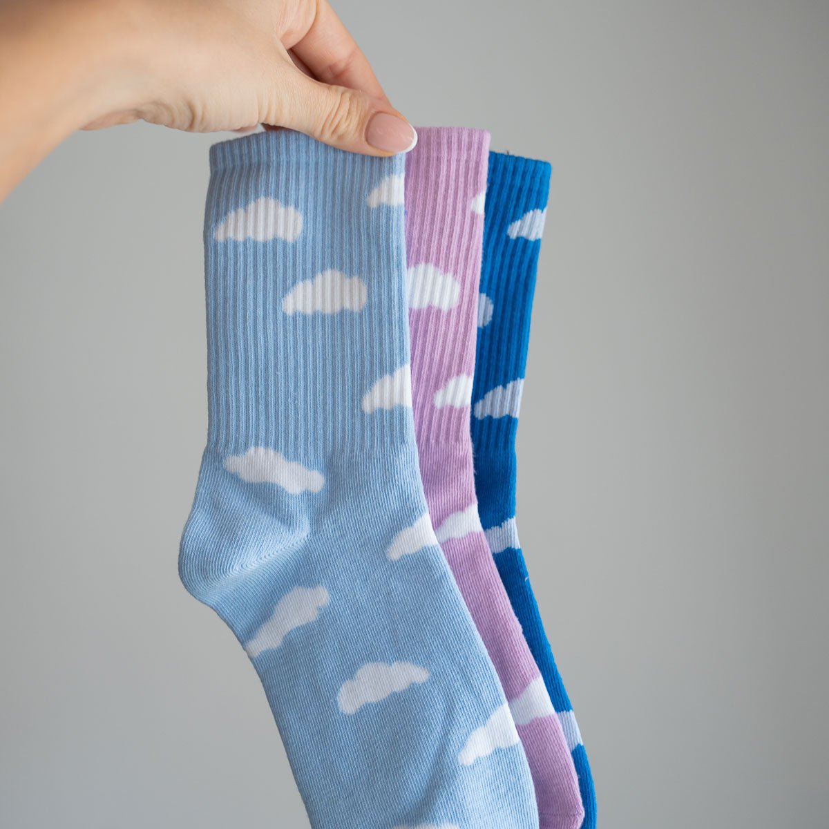 La Nuageuse - Lou Renard