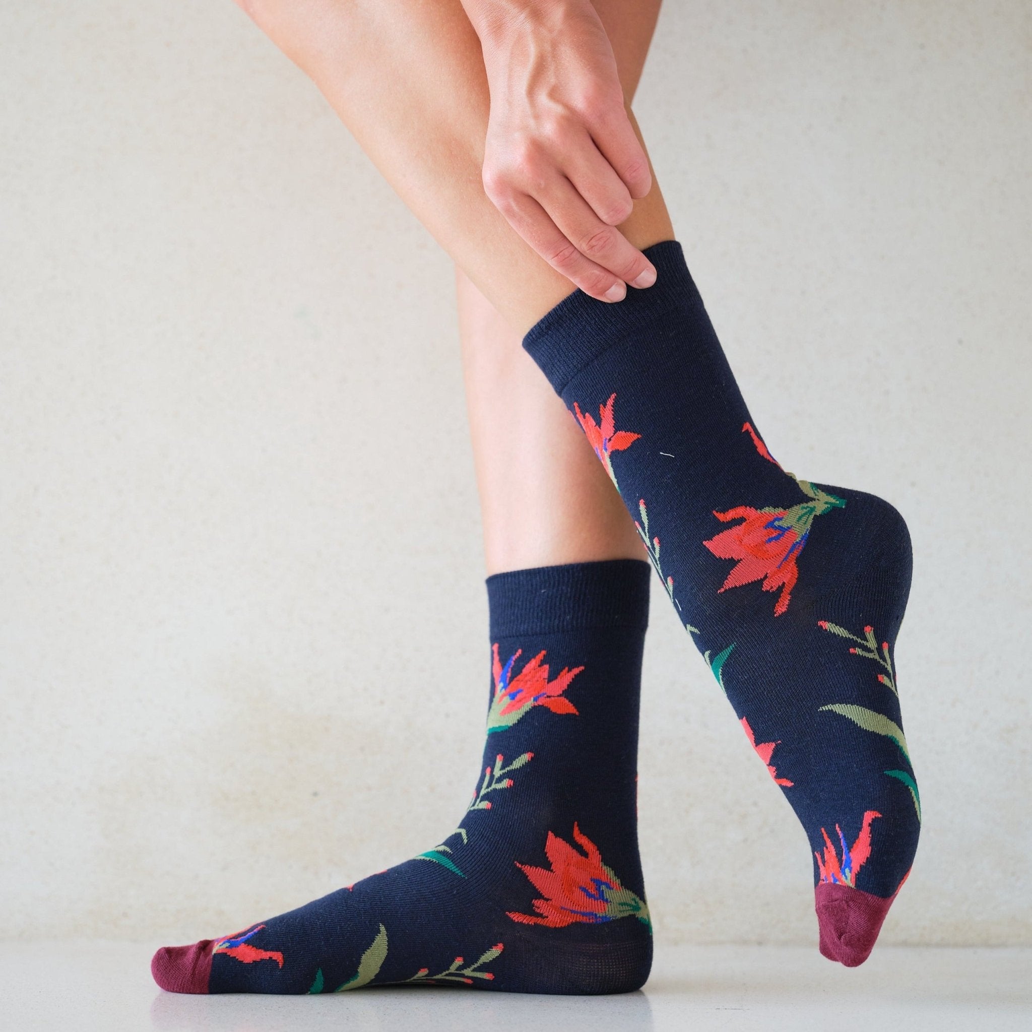 La Vagabonde - Lou Renard